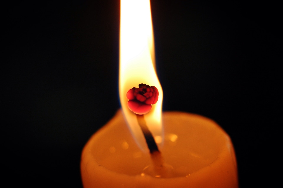 Flame tabitha night