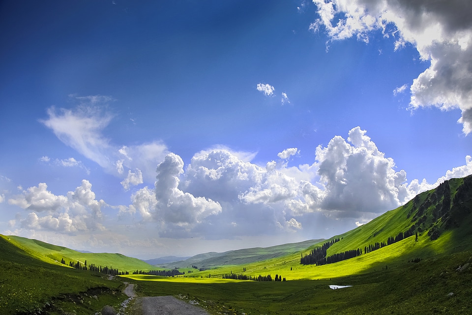 White cloud grassland in xinjiang