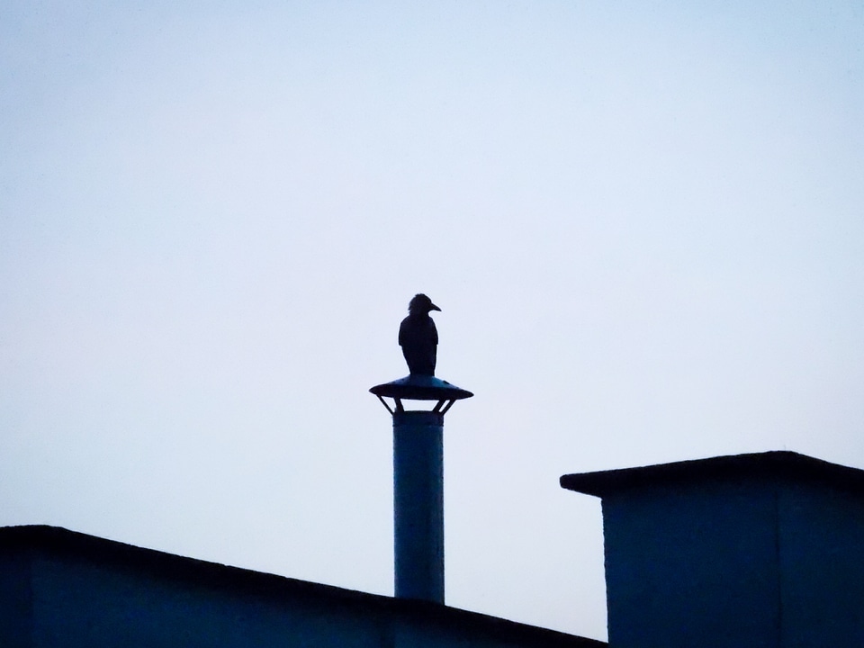 Chimney blokowisko the silhouette