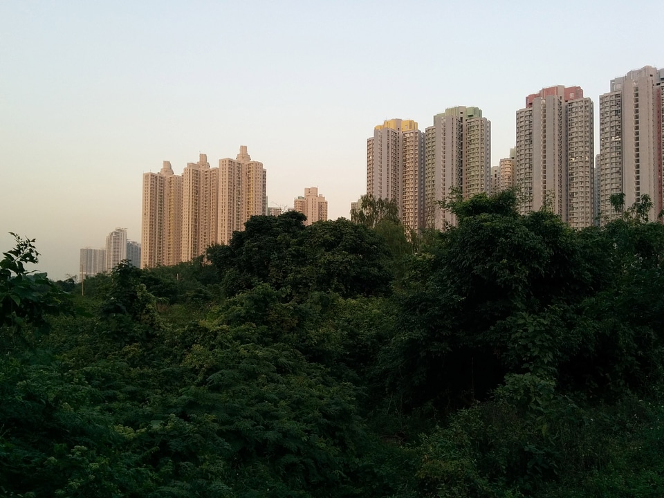 City modern park