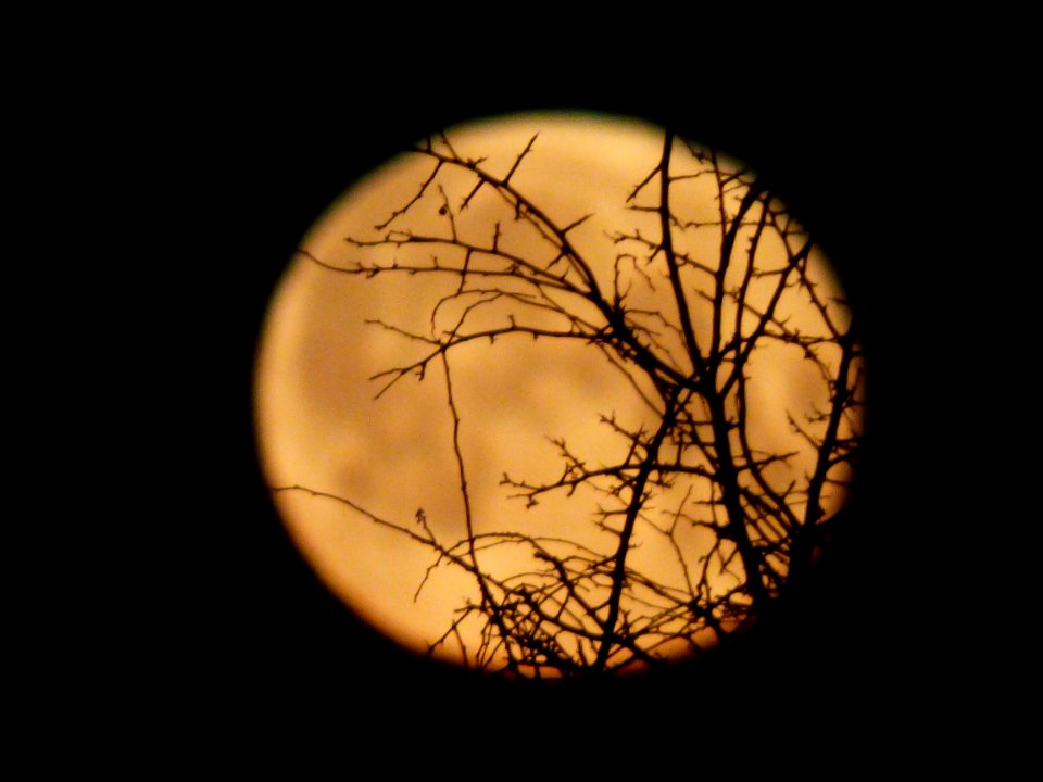 the werewolf moon....