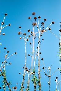 Blue sky sky min nan