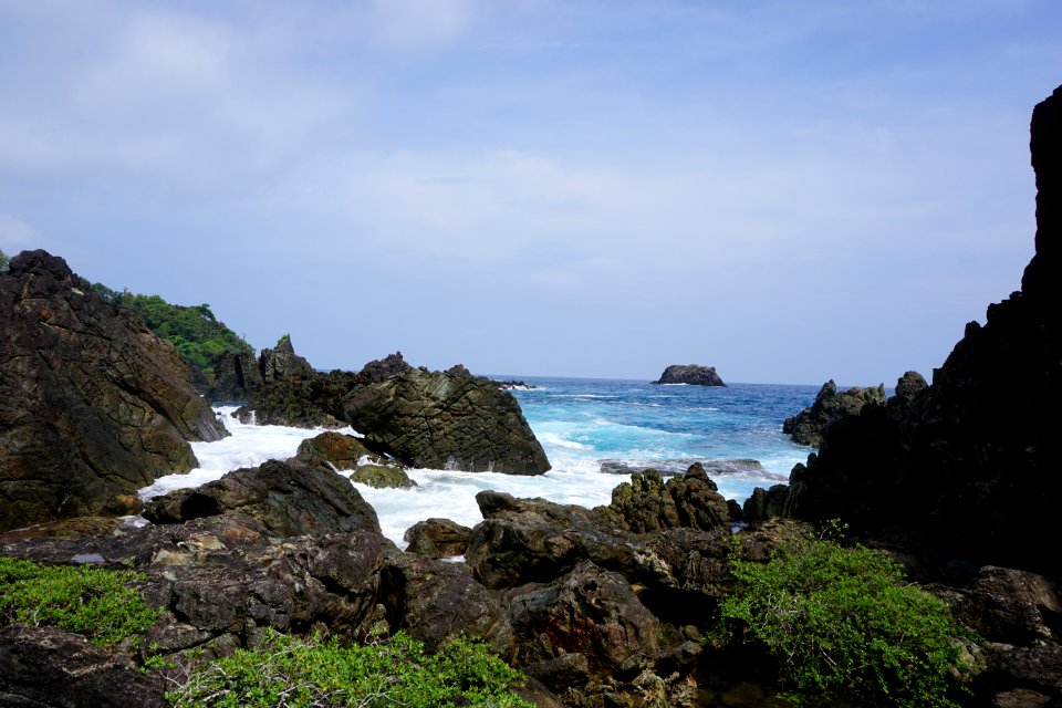 DSC02452