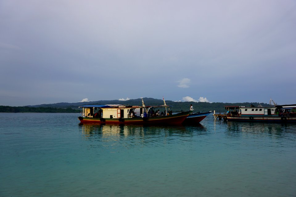 DSC02541