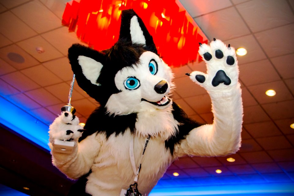 VancouFur 2018 096sfx