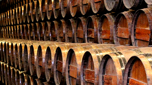 Madeira 00509