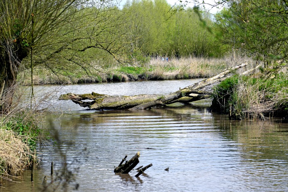 2015 04 19 0892 bewerkt-1