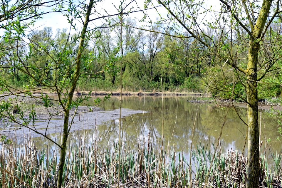 2015 04 19 0926 bewerkt-1