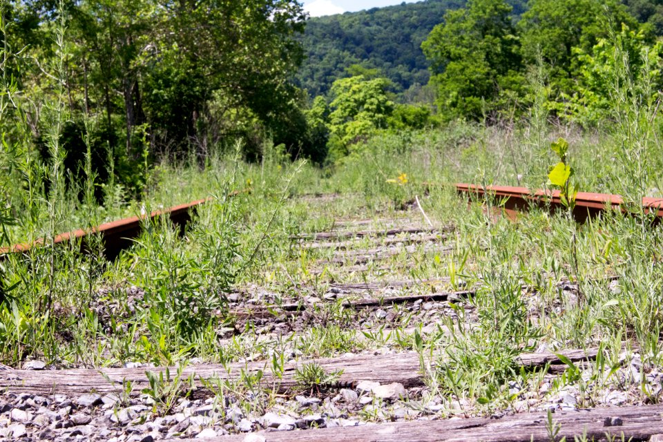 Westernport, Maryland