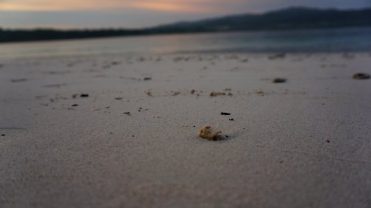 DSC02476