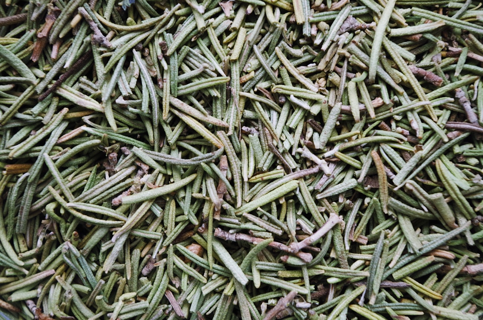 The smell of fish plant