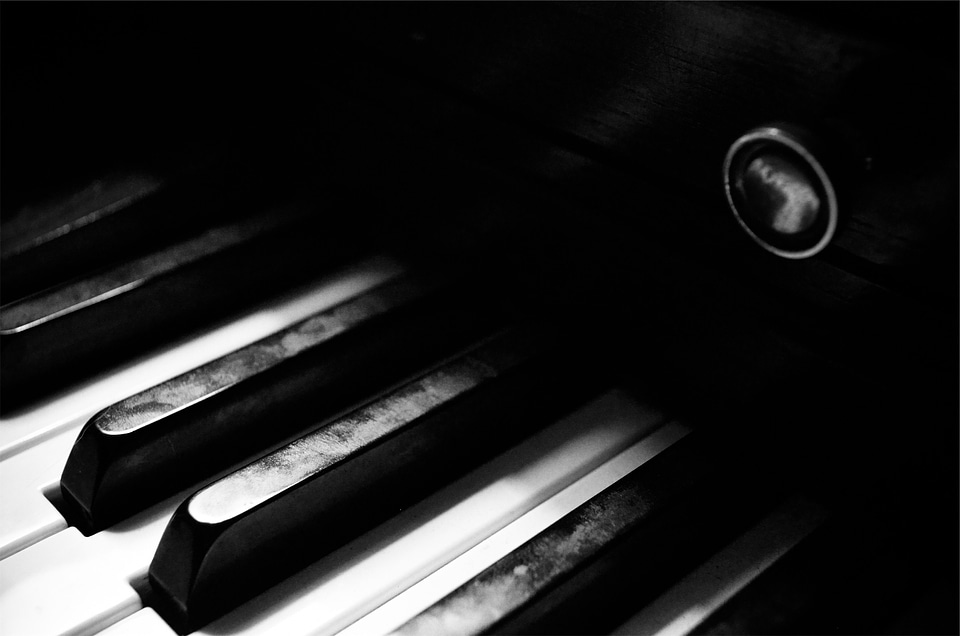 Musical instrument black and white black music