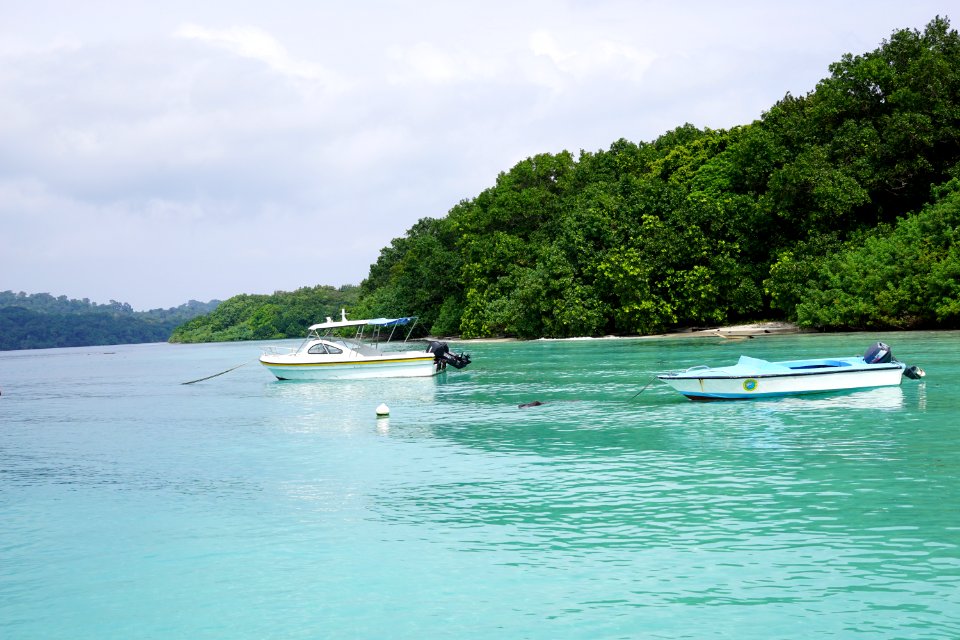 Ujung Kulon Tosca