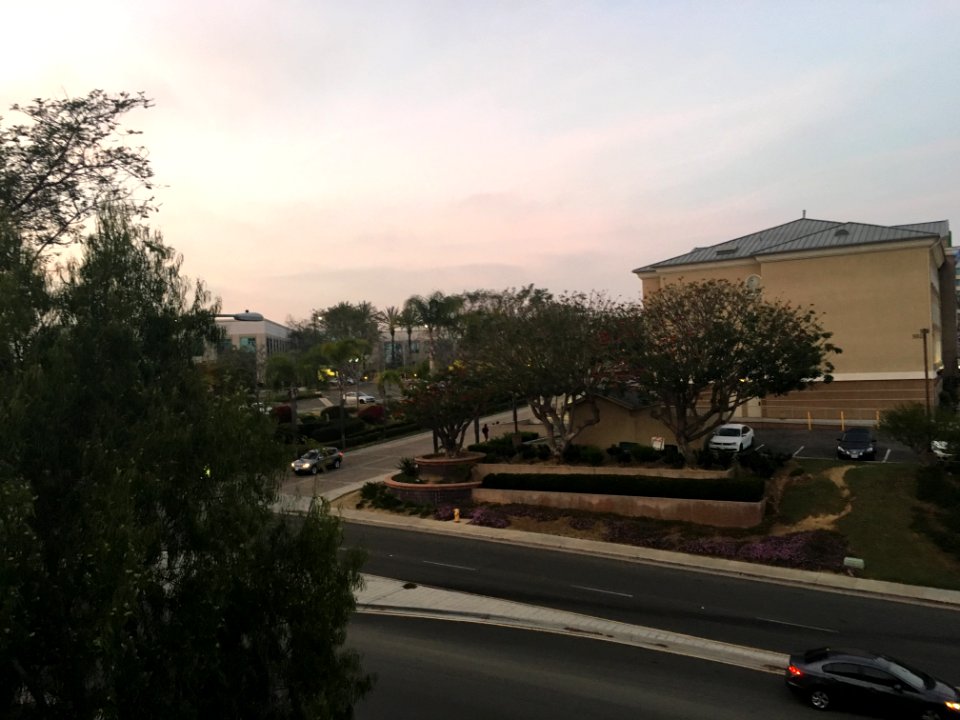 IMG 0546