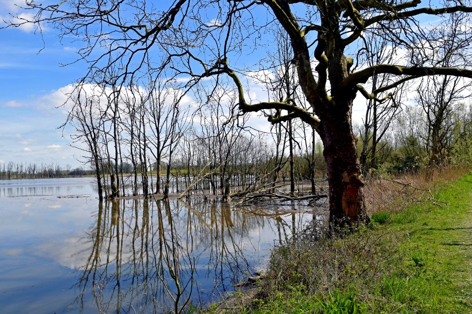2015 04 19 0922 bewerkt-1