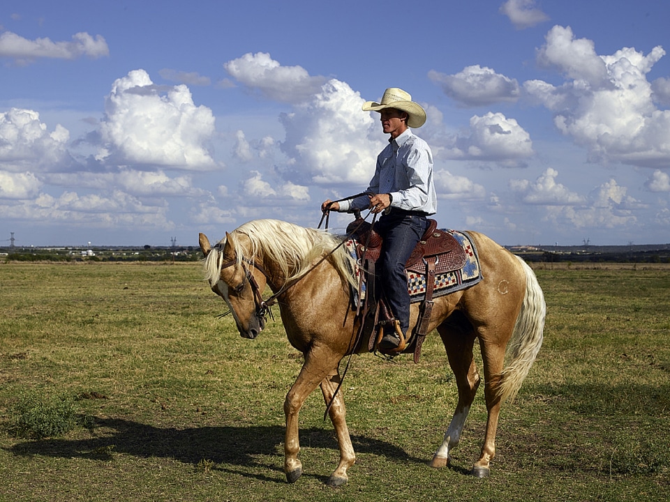 Ranch western palamino