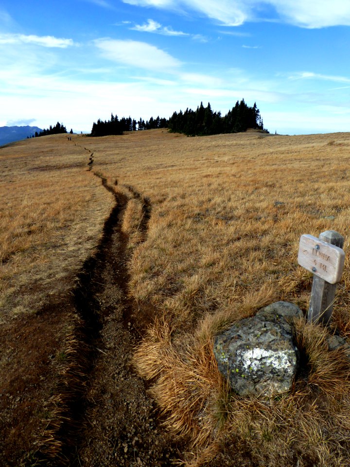 Elwha trail hurricane hill winding signage cbubar 2015