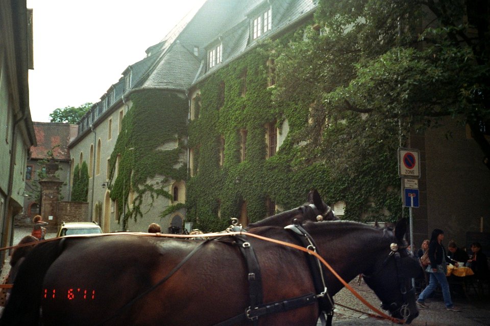 Weimar Juni 2011