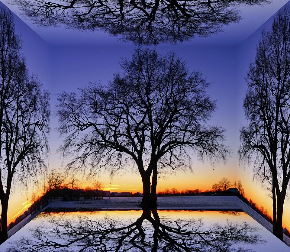 Nature sunset sky