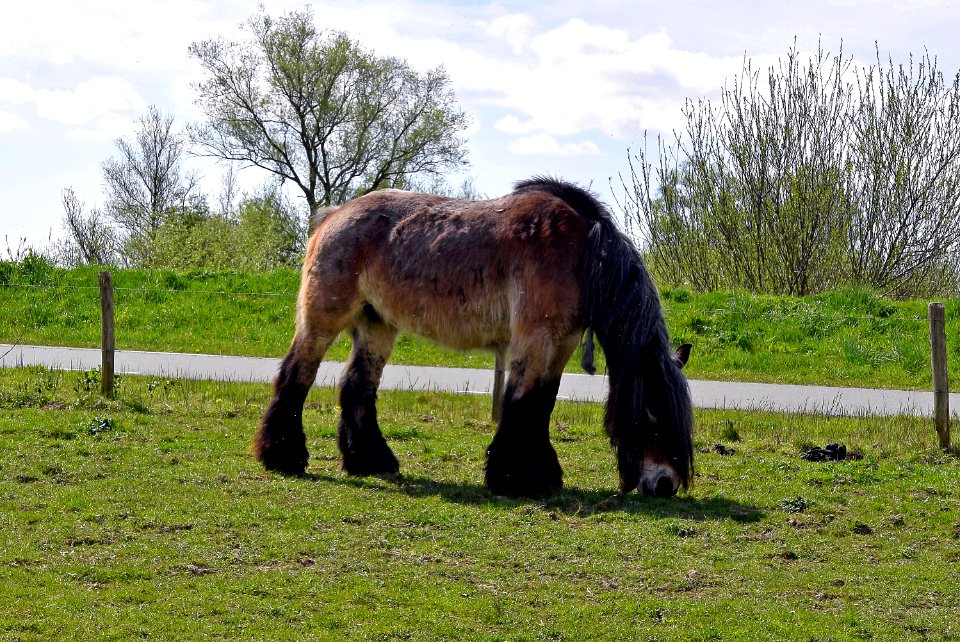 2015 04 19 0906 bewerkt-1