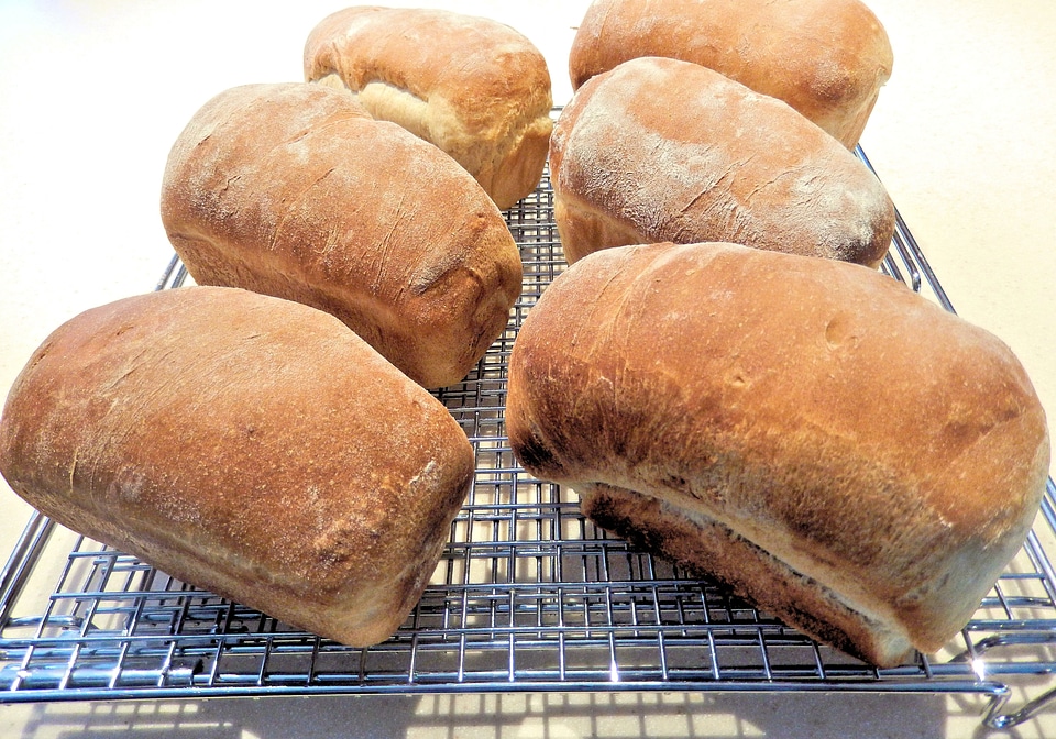 Mini loafs food baked