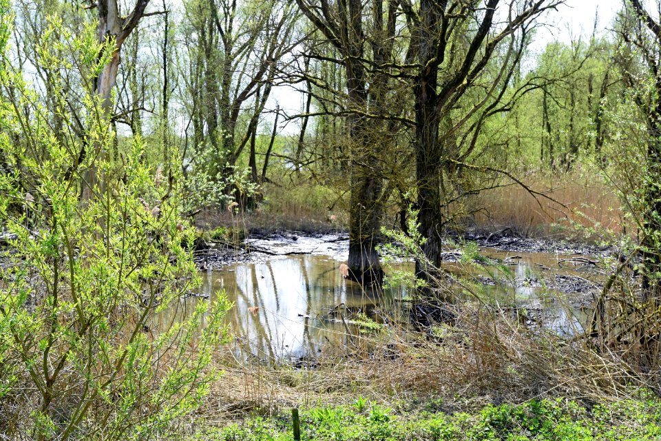 2015 04 19 0927 bewerkt-1