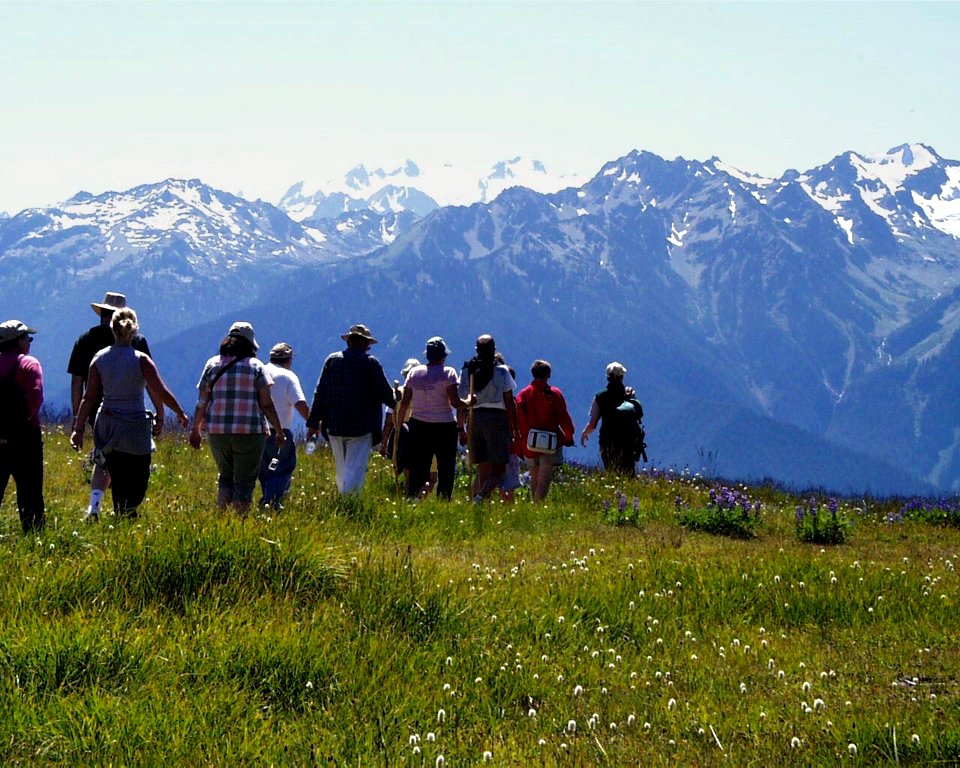 hikers Hurricane Ridge people cortneyHR2