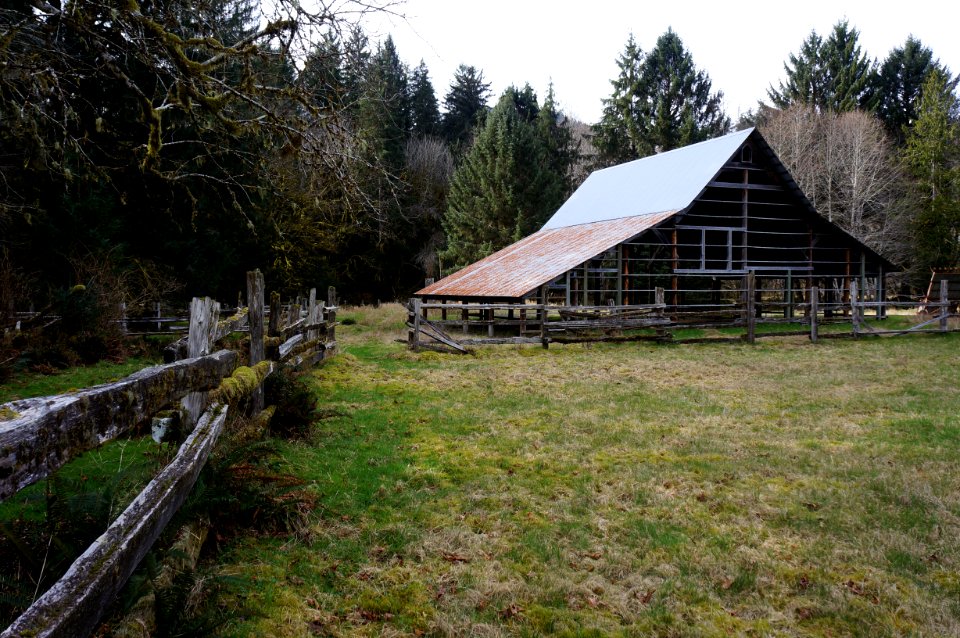 kesnter homestead fences buildings quinault rainforest historic r mckenna march 2015