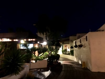 IMG 0576