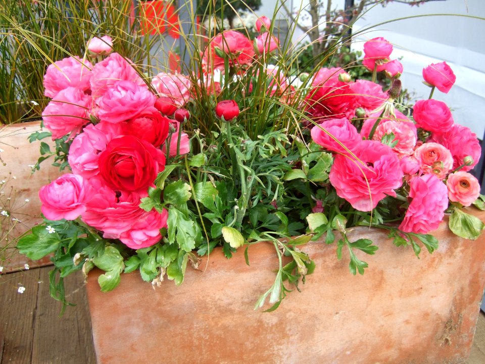 Landesgartenschau Hemer 2010