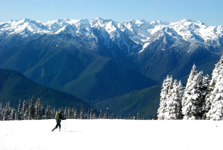 crosscountry skiing visitor hurricane ridge winter
