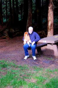 visitor dog campsite kalaloch campground camping c bubar march 05 2015