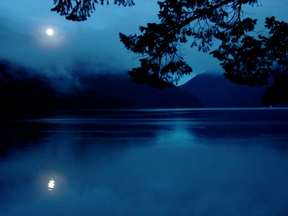 Moon Crescent lake reflection branch NPS Photo