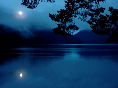 Moon Crescent lake reflection branch NPS Photo photo