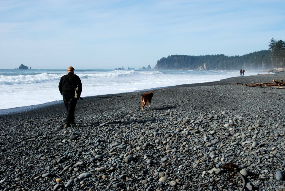 visitor walking dog leash rialto beach hikers c bubar march 06-2015