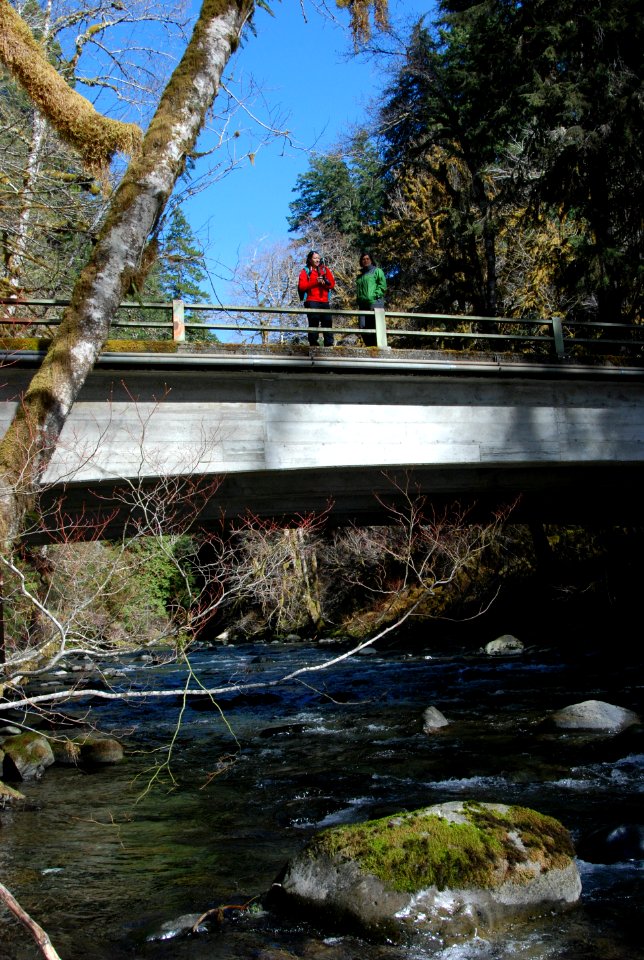 Sol Duc visitors bridge c bubar march 05 2015