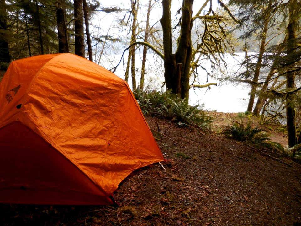 tent camping Lake crescent campground orange nps photo