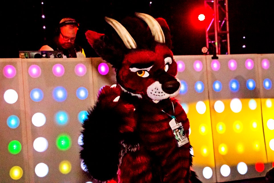 VancouFur 2019 196sfx