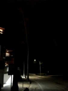 IMG 0558