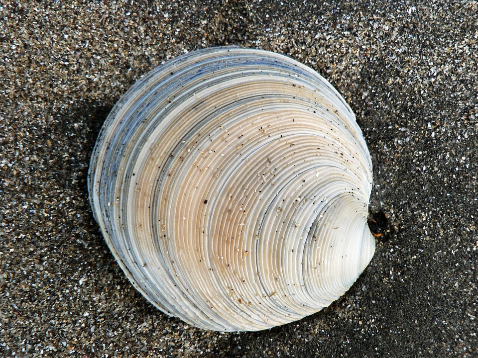 Nature sea ocean