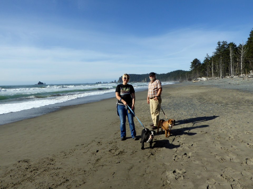dogs visitors beach Rialto cbubar
