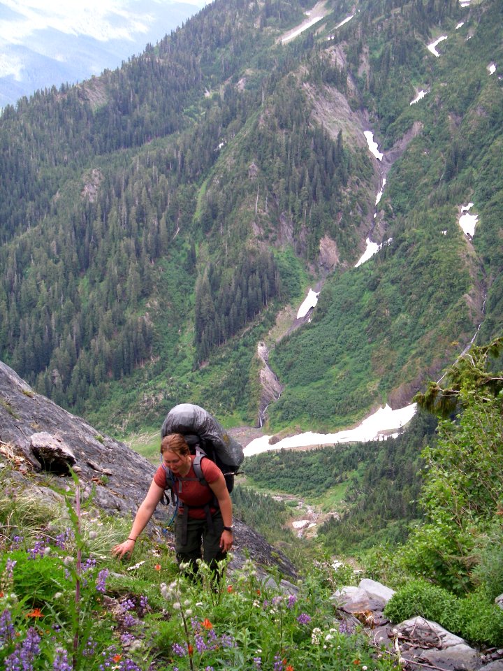 People backpacking hiking slope flowers BBaccus NPS photo 2008 photo