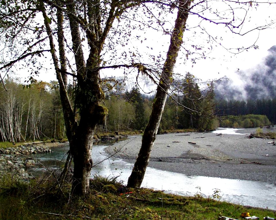 Hoh river scenic trees clouds NPS Photo