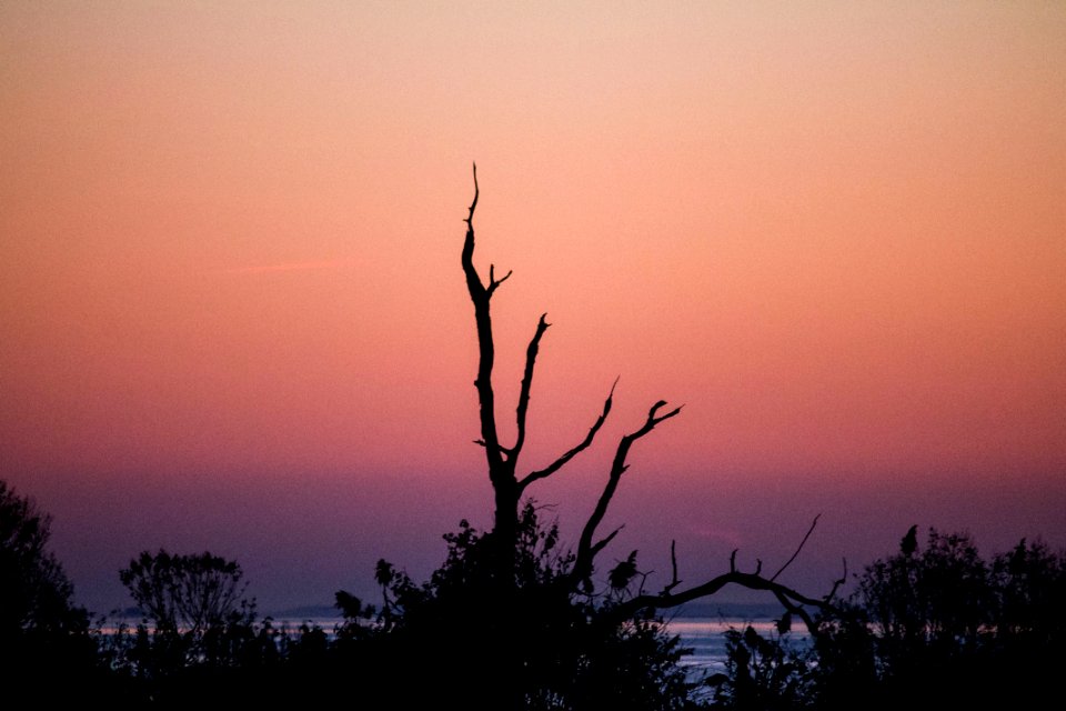 BASSIN D ARCACHON - COUCHER DE SOLEIL A ANDERNOS (5)