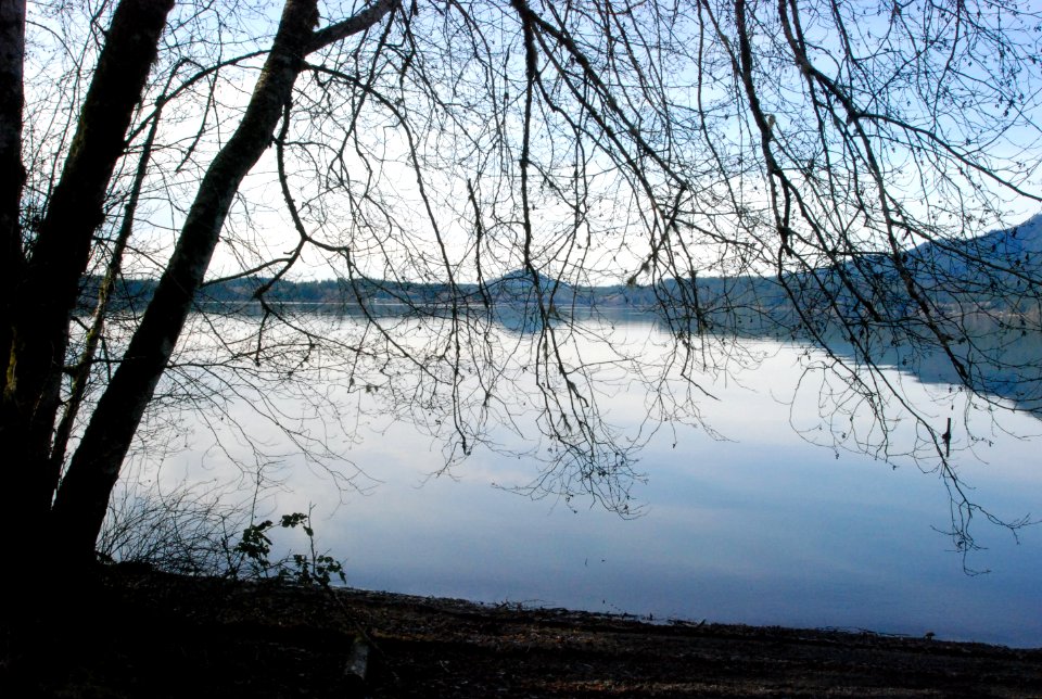 Lake Quinault South Shore 1-27-11 ONP photo (3)