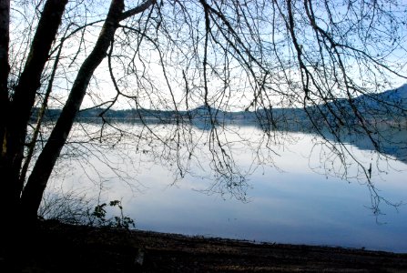 Lake Quinault South Shore 1-27-11 ONP photo (3)