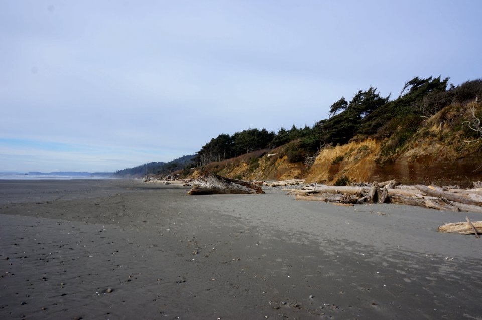 kalaloch campground beach bluffs driftwood logs coast r mckenna march 2015