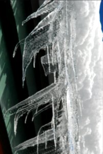 Ice winter icicle hurricane ridge photo