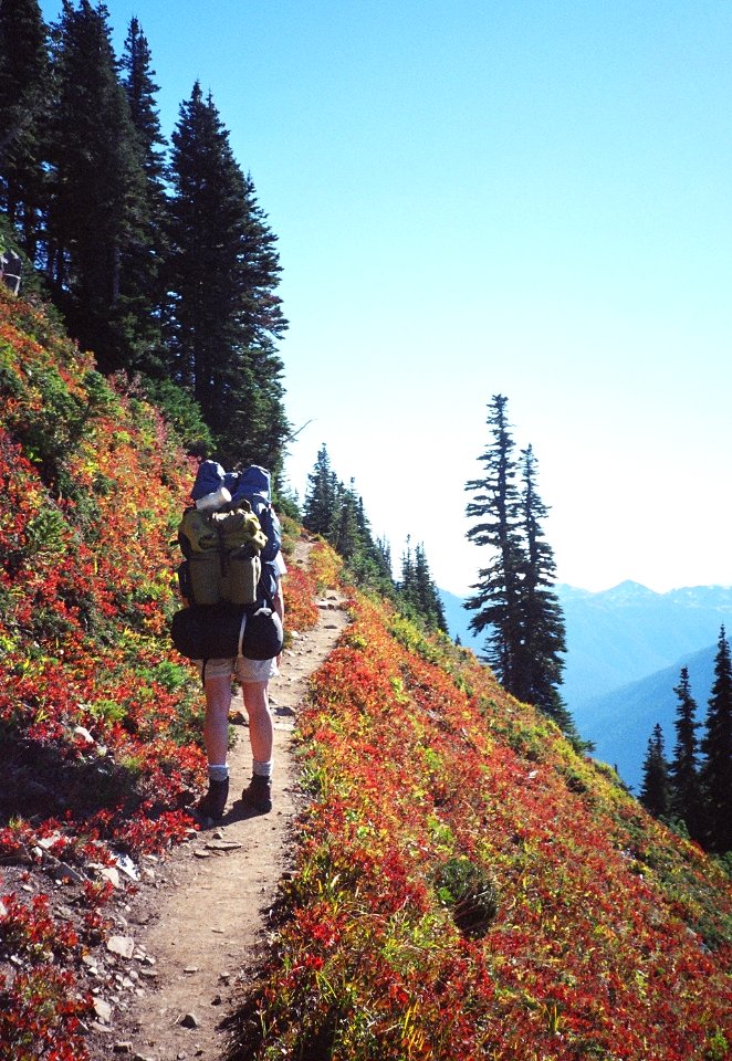 hiker subalpine backpacking mountain people NPS Photo