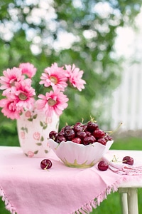Fruit summer breakfast
